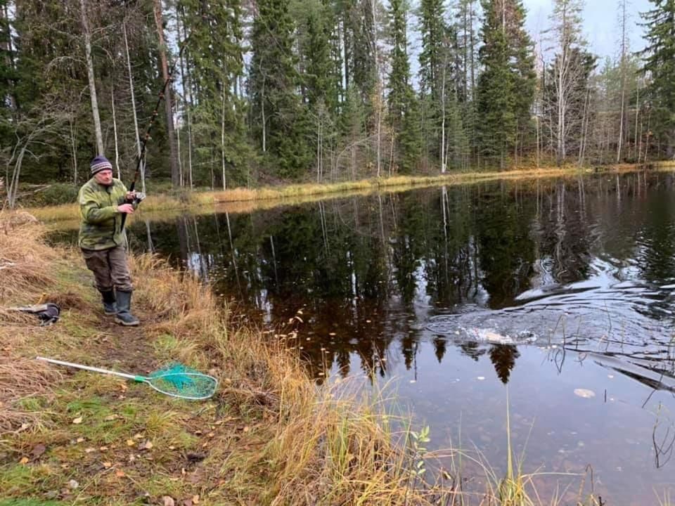 Отель Kylpylähotelli Kiannon Kuohut Суомуссалми-35